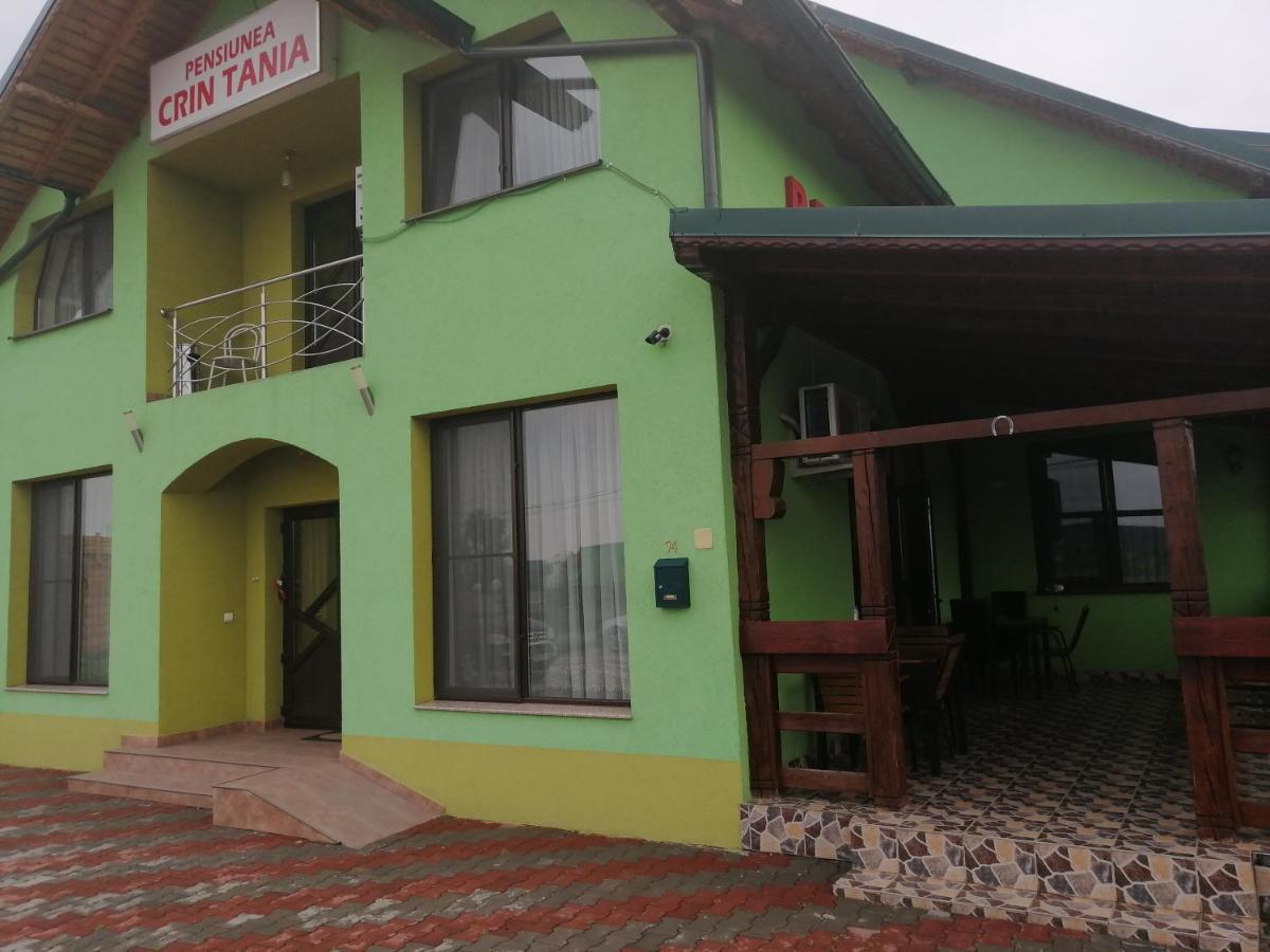 Pensiunea Maria Tania - Restaurant Mioveni Экстерьер фото